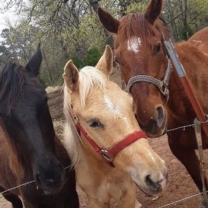 Meet your Posher, Thomas